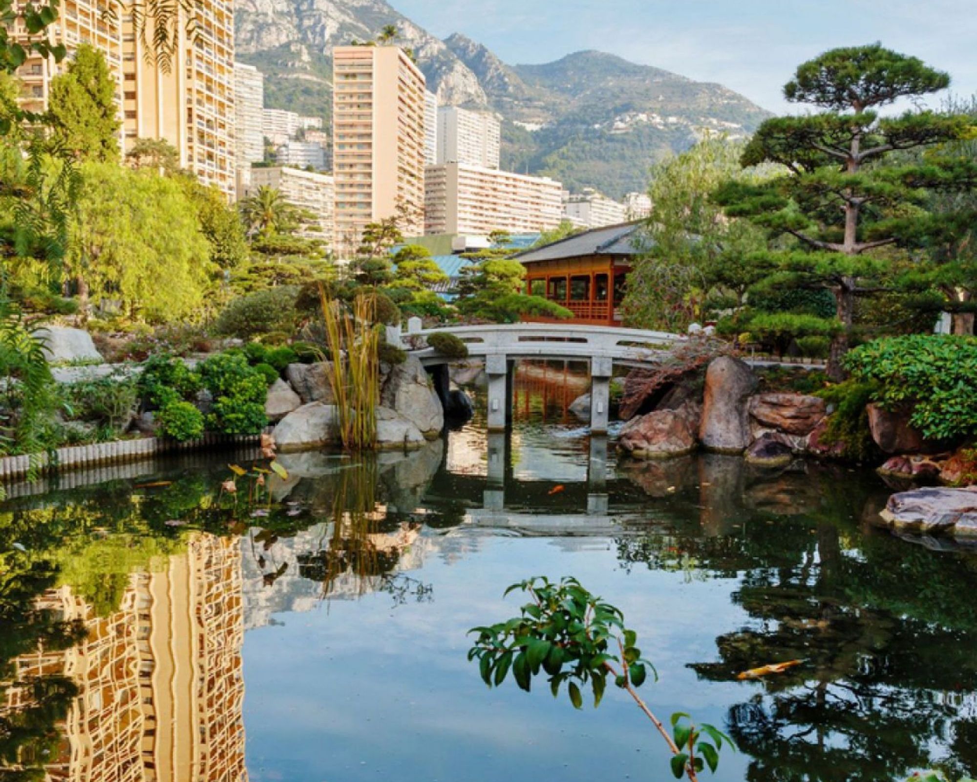 monaco tours train